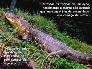 “Não sofra pelo
fim de nada,
mas anime-se
pelo começo de
algo novo.”
“Em todas as formas de iniciação,
nascimento e morte são eventos
que marcam o fim de um período
e o começo de outro.”.
..
 