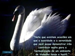 VOLTAR “ Note que existem ocasiões em que a suavidade e a serenidade que você possa demonstrar irão contribuir muito para a harmonização de um ambiente de trabalho tenso e hostil.” 