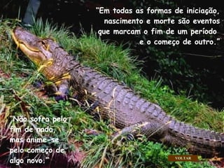 “ Não sofra pelo fim de nada, mas anime-se pelo começo de algo novo.” “ Em todas as formas de iniciação, nascimento e morte são eventos que marcam o fim de um período  e o começo de outro.” VOLTAR . . . 