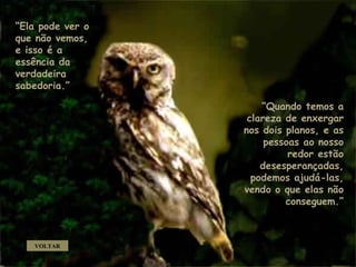 “ Ela pode ver o que não vemos, e isso é a essência da verdadeira sabedoria.”  “ Quando temos a clareza de enxergar nos dois planos, e as pessoas ao nosso redor estão desesperançadas, podemos ajudá-las, vendo o que elas não conseguem.” VOLTAR . . 