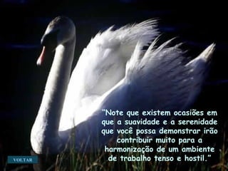 VOLTAR “ Note que existem ocasiões em que a suavidade e a serenidade que você possa demonstrar irão contribuir muito para a harmonização de um ambiente de trabalho tenso e hostil.” 