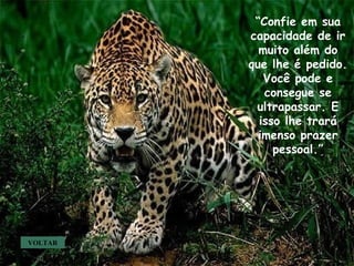 VOLTAR “ Confie em sua capacidade de ir muito além do que lhe é pedido. Você pode e consegue se ultrapassar. E isso lhe trará imenso prazer pessoal.” . . . 