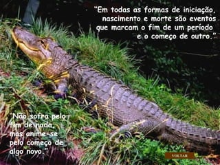 “ Não sofra pelo fim de nada, mas anime-se pelo começo de algo novo.” “ Em todas as formas de iniciação, nascimento e morte são eventos que marcam o fim de um período  e o começo de outro.” VOLTAR . . . 