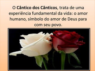 O Cântico dos Cânticos, trata de uma 
experiência fundamental da vida: o amor 
humano, símbolo do amor de Deus para 
com seu povo. 
 