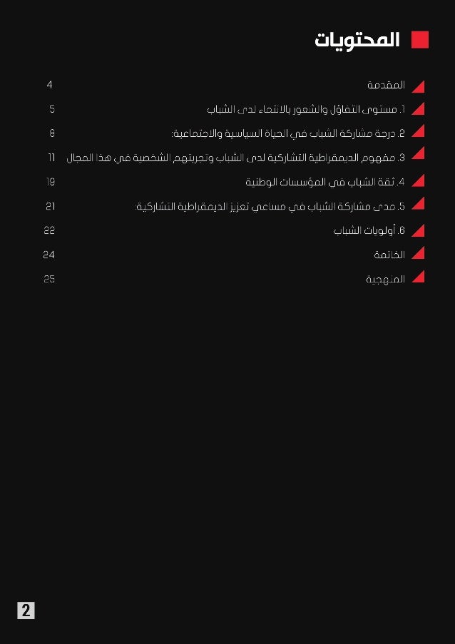 نظرة الشباب الديمقراطية التشاركية