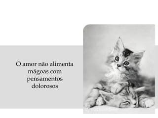O amor não alimenta
mágoas com
pensamentos
dolorosos

 