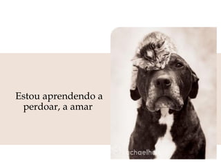 Estou aprendendo a
perdoar, a amar

 