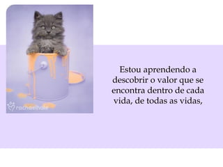 Estou aprendendo a
descobrir o valor que se
encontra dentro de cada
vida, de todas as vidas,

 
