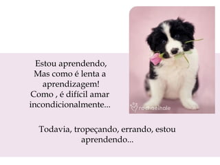 Estou aprendendo,
Mas como é lenta a
aprendizagem!
Como , é difícil amar
incondicionalmente...
Todavia, tropeçando, errando, estou
aprendendo...

 
