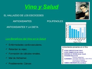 Vino y Salud EL HALLAZGO DE LOS ESCOCESES  ANTIOXIDANTES  POLIFENOLES ANTIOXIDANTES Y LA DIETA  Los Beneficios del Vino en la Salud Enfermedades cardiovasculares. R etarda n  la vejez . Formación de cálculos renales. M al de Alzheimer. P osiblemente : C áncer. 