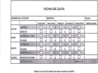 FICHA DE CATA 