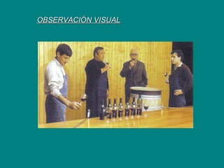OBSERVACIÓN VISUAL   