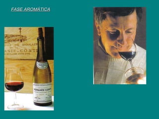 FASE AROMÁTICA 