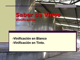 Saber de Vinos Vinificación -Vinificación en Blanco -Vinificación en Tinto. 