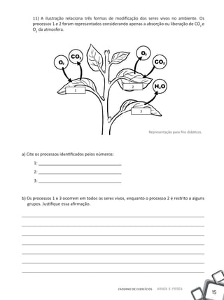 11) A ilustração relaciona três formas de modificação dos seres vivos no ambiente. Os
     processos 1 e 2 foram representados considerando apenas a absorção ou liberação de CO2 e
     O2 da atmosfera.




                                                            2
                            1




                                                                 3




                                                                      Representação para fins didáticos.




a) Cite os processos identificados pelos números:
      1: ____________________________________
      2: ____________________________________
      3: ____________________________________


b) Os processos 1 e 3 ocorrem em todos os seres vivos, enquanto o processo 2 é restrito a alguns
   grupos. Justifique essa afirmação.




                                                    CADERNO DE EXERCÍCIOS   Saber e Fazer
                                                                                                           15
 