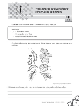 1
           UNIDADE
                                         Vida: geração de diversidade e
                                         conservação de padrões

                                                                                              CIE

     CapÍtulo 2 – SERES VIVOS: VIDA CELULAR E AUTO-ORGANIZAÇÃO

     Conteúdos:
       • A diversidade celular
       • Os reinos dos seres vivos
       • Auto-organização dos seres vivos



     6) A ilustração mostra representantes de dois grupos de seres vivos: os moneras e os
     protistas.




                                                                      Representação para fins didáticos

a) Cite duas semelhanças entre esses seres vivos que são evidenciadas pelas ilustrações.




                                                   CADERNO DE EXERCÍCIOS   Saber e Fazer
                                                                                                          11
 