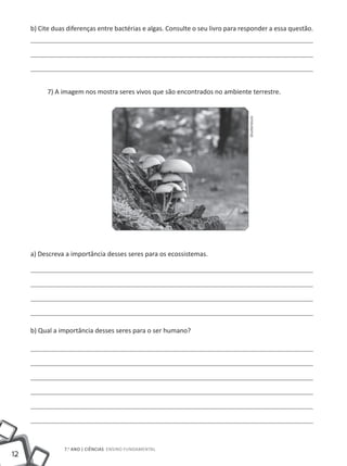 b) Cite duas diferenças entre bactérias e algas. Consulte o seu livro para responder a essa questão.




          7) A imagem nos mostra seres vivos que são encontrados no ambiente terrestre.




                                                                                  Shutterstock
     a) Descreva a importância desses seres para os ecossistemas.




     b) Qual a importância desses seres para o ser humano?




                7.o ano | ciências Ensino Fundamental
12
 