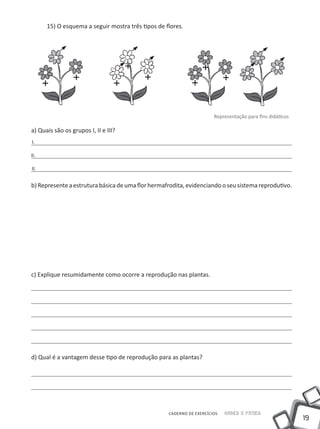 15) O esquema a seguir mostra três tipos de flores.




                                                                      Representação para fins didáticos

a) Quais são os grupos I, II e III?
I.

II.

II.


b) Represente a estrutura básica de uma flor hermafrodita, evidenciando o seu sistema reprodutivo.




c) Explique resumidamente como ocorre a reprodução nas plantas.




d) Qual é a vantagem desse tipo de reprodução para as plantas?




                                                   CADERNO DE EXERCÍCIOS   Saber e Fazer
                                                                                                          19
 