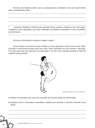 Formule uma hipótese sobre o que os pesquisadores constataram com esse experimento
     sobre a evolução das mãos.




            Lembrete: Hipótese é sinônimo de suposição. Nesse sentido, a hipótese é uma afirmação
      categórica (uma suposição), que tenta responder ao problema levantado no tema escolhido
      para pesquisa.



          10) Leia as informações e analise a imagem a seguir.

           A rosca direta é um exercício para o bíceps, em que seguramos a barra com as duas mãos,
     iniciando o movimento de baixo para cima, até o topo, formando um arco durante a execução.
     É um dos exercícios mais famosos na musculação e um dos mais indicados quando se trata de
     modelar bíceps grandes.




                                                                        Representação para fins didáticos


     a) Indique na ilustração, com uma seta, a posição do músculo citado nas informações.

     b) Explique como a musculatura esquelética trabalha para executar o exercício chamado rosca
        direta.




                8.° ano | ciências Ensino Fundamental
14
 