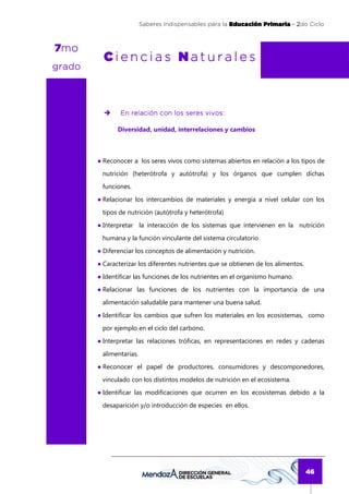 Saberes Indispensables para la Educación Primaria - 2do Ciclo
                                                                             2



 mo
7mo
          Ciencias Naturales
grado



                En relación con los seres vivos:

               Diversidad, unidad, interrelaciones y cambios



        ● Reconocer a los seres vivos como sistemas abiertos en relación a los tipos de
         nutrición (heterótrofa y autótrofa) y los órganos que cumplen dichas
         funciones.
        ● Relacionar los intercambios de materiales y energía a nivel celular con los
         tipos de nutrición (autótrofa y heterótrofa)
        ● Interpretar la interacción de los sistemas que intervienen en la nutrición
         humana y la función vinculante del sistema circulatorio
        ● Diferenciar los conceptos de alimentación y nutrición.
        ● Caracterizar los diferentes nutrientes que se obtienen de los alimentos.
        ● Identificar las funciones de los nutrientes en el organismo humano.
        ● Relacionar las funciones de los nutrientes con la importancia de una
         alimentación saludable para mantener una buena salud.
        ● Identificar los cambios que sufren los materiales en los ecosistemas, como
         por ejemplo en el ciclo del carbono.
        ● Interpretar las relaciones tróficas, en representaciones en redes y cadenas
         alimentarias.
        ● Reconocer el papel de productores, consumidores y descomponedores,
         vinculado con los distintos modelos de nutrición en el ecosistema.
        ● Identificar las modificaciones que ocurren en los ecosistemas debido a la
         desaparición y/o introducción de especies en ellos.




                                                                                     46
 