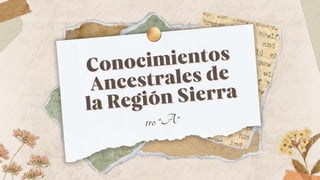 Conocimientos
Conocimientos
Ancestrales de
Ancestrales de
la Región Sierra
la Región Sierra
1ro “A”
 