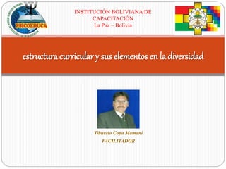 estructura curricular y sus elementos en la diversidad
Tiburcio Copa Mamani
FACILITADOR
INSTITUCIÓN BOLIVIANA DE
CAPACITACIÓN
La Paz – Bolivia
 