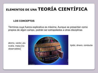 Elementos de una teoría científicaLOS CONCEPTOSTérminos cuya fuerza explicativa es máxima. Aunque se presentan como propios de algún campo, podrán ser extrapolados a otras disciplinas átomo, vector, plusvalía, masa (no observables)lípido, dinero, conducta