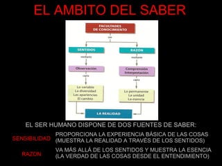 EL AMBITO DEL SABER




   EL SER HUMANO DISPONE DE DOS FUENTES DE SABER:
             PROPORCIONA LA EXPERIENCIA BÁSICA DE LAS COSAS
SENSIBILIDAD (MUESTRA LA REALIDAD A TRAVÉS DE LOS SENTIDOS)

            VA MÁS ALLÁ DE LOS SENTIDOS Y MUESTRA LA ESENCIA
  RAZON     (LA VERDAD DE LAS COSAS DESDE EL ENTENDIMIENTO)
 