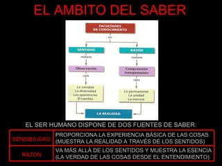 EL AMBITO DEL SABER EL SER HUMANO DISPONE DE DOS FUENTES DE SABER: VA MÁS ALLÁ DE LOS SENTIDOS Y MUESTRA LA ESENCIA (LA VERDAD DE LAS COSAS DESDE EL ENTENDIMIENTO) RAZON PROPORCIONA LA EXPERIENCIA BÁSICA DE LAS COSAS (MUESTRA LA REALIDAD A TRAVÉS DE LOS SENTIDOS) SENSIBILIDAD 