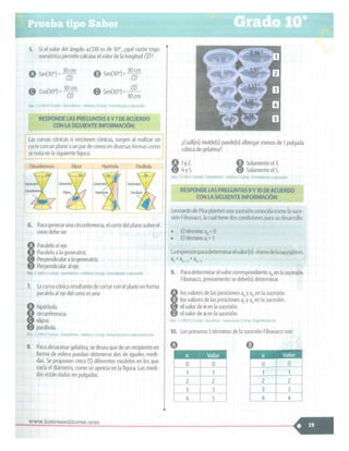 SABER + GRADO 10.pdf