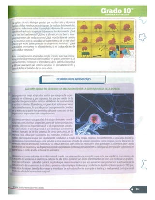 SABER + GRADO 10.pdf