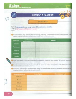 SABER + GRADO 10.pdf