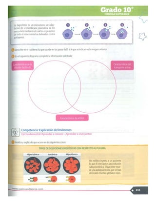 SABER + GRADO 10.pdf