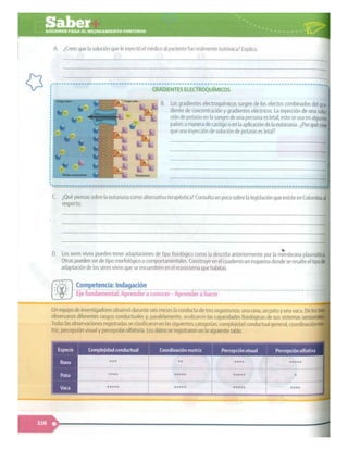 SABER + GRADO 10.pdf