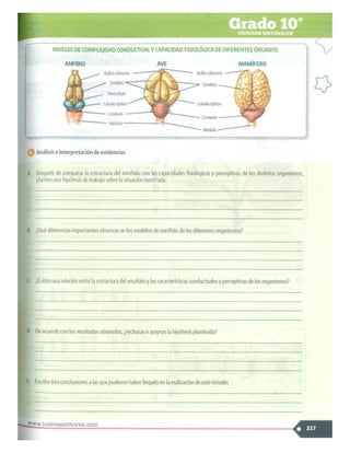 SABER + GRADO 10.pdf
