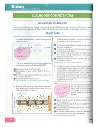 SABER + GRADO 10.pdf