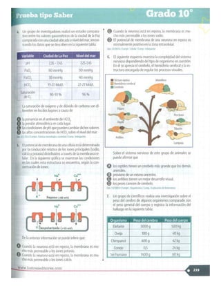 SABER + GRADO 10.pdf