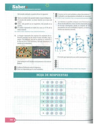 SABER + GRADO 10.pdf