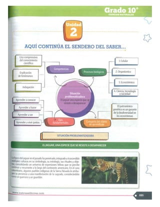SABER + GRADO 10.pdf