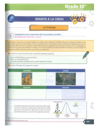 SABER + GRADO 10.pdf