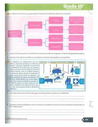 SABER + GRADO 10.pdf