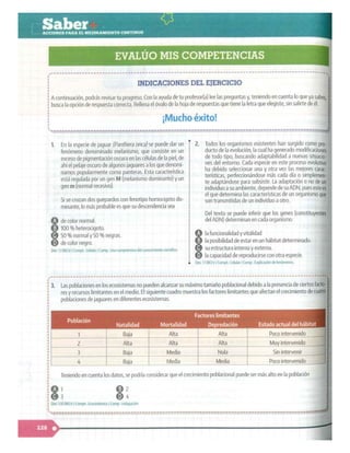 SABER + GRADO 10.pdf