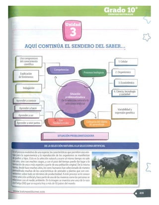 SABER + GRADO 10.pdf