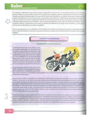 SABER + GRADO 10.pdf