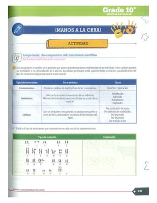 SABER + GRADO 10.pdf