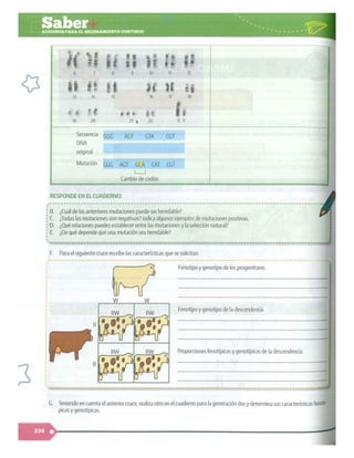SABER + GRADO 10.pdf