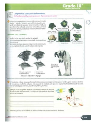 SABER + GRADO 10.pdf
