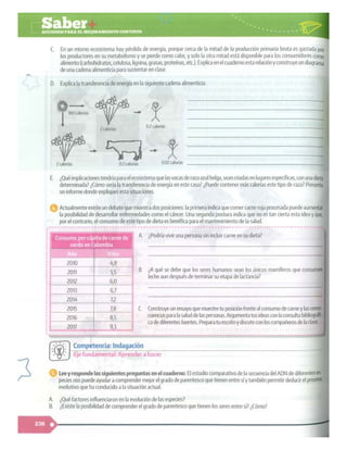 SABER + GRADO 10.pdf
