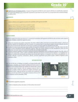 SABER + GRADO 10.pdf