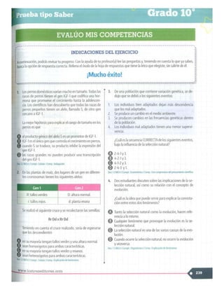 SABER + GRADO 10.pdf